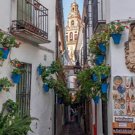 Casiverde Διαμέρισμα *